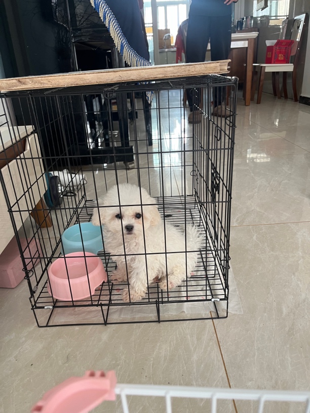 室内小型犬泰迪比熊折叠笼子