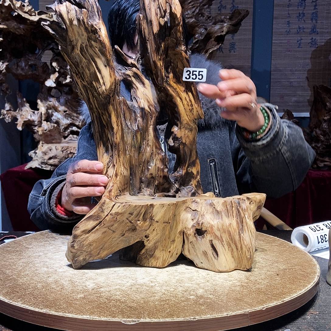 鲲***鹏355。株木随行根艺