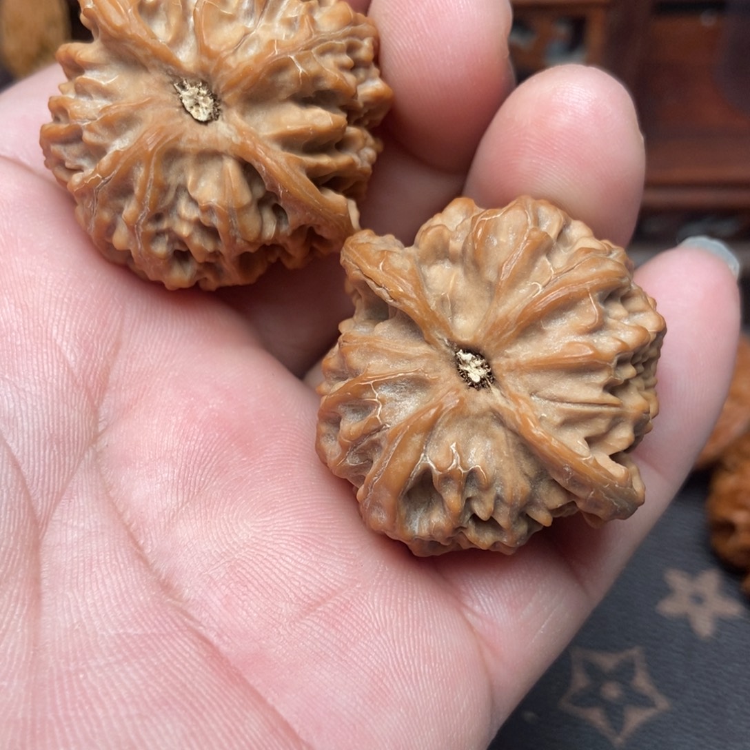 小***点大叶紫檀（黑酸枝木类）苹果园