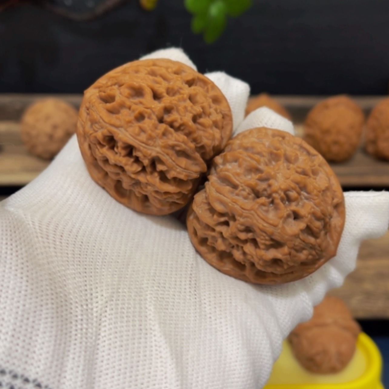 【闪购商品】核桃把件43尺寸水龙纹