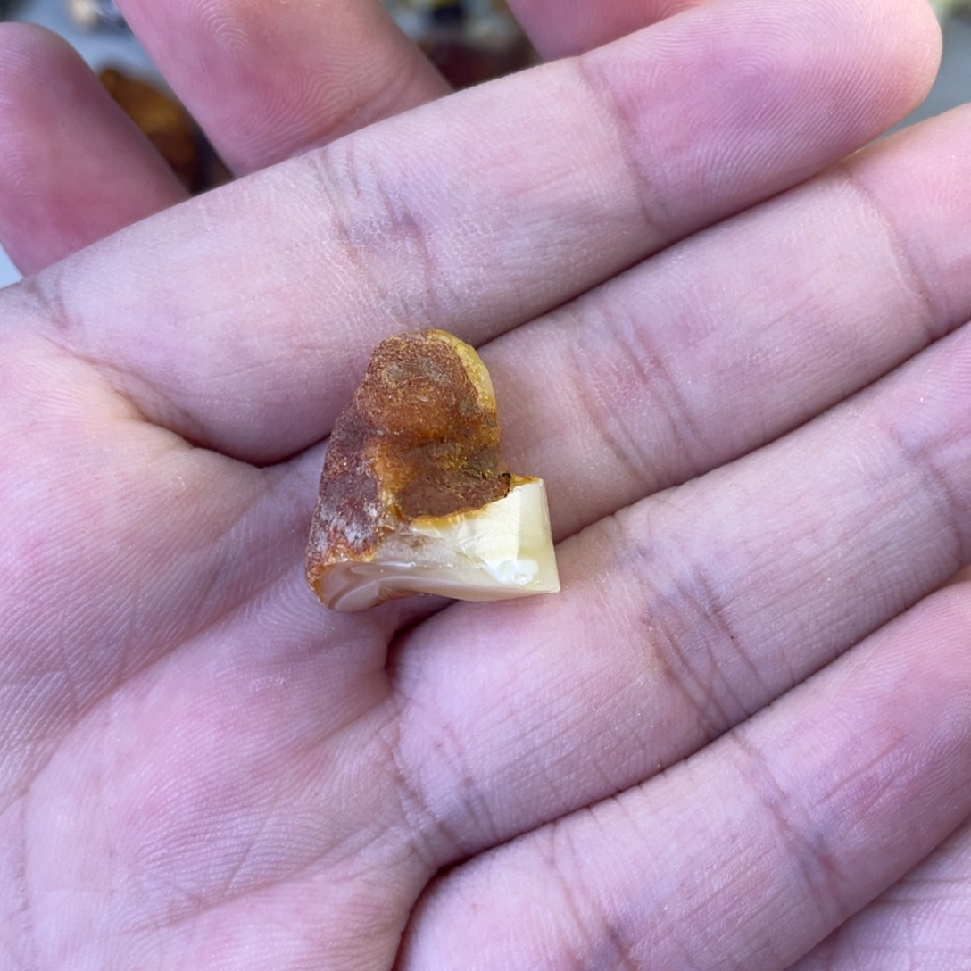 西***哥定制琥珀天然琥珀