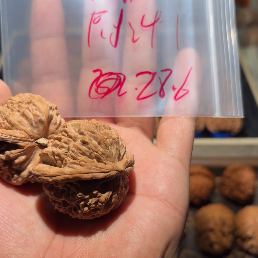吊坠文玩核桃布*德三角白