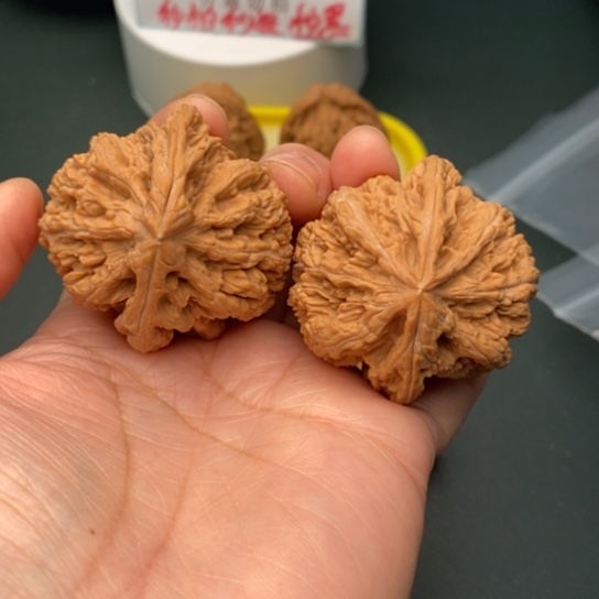 文玩核桃把件44全品大粗筋