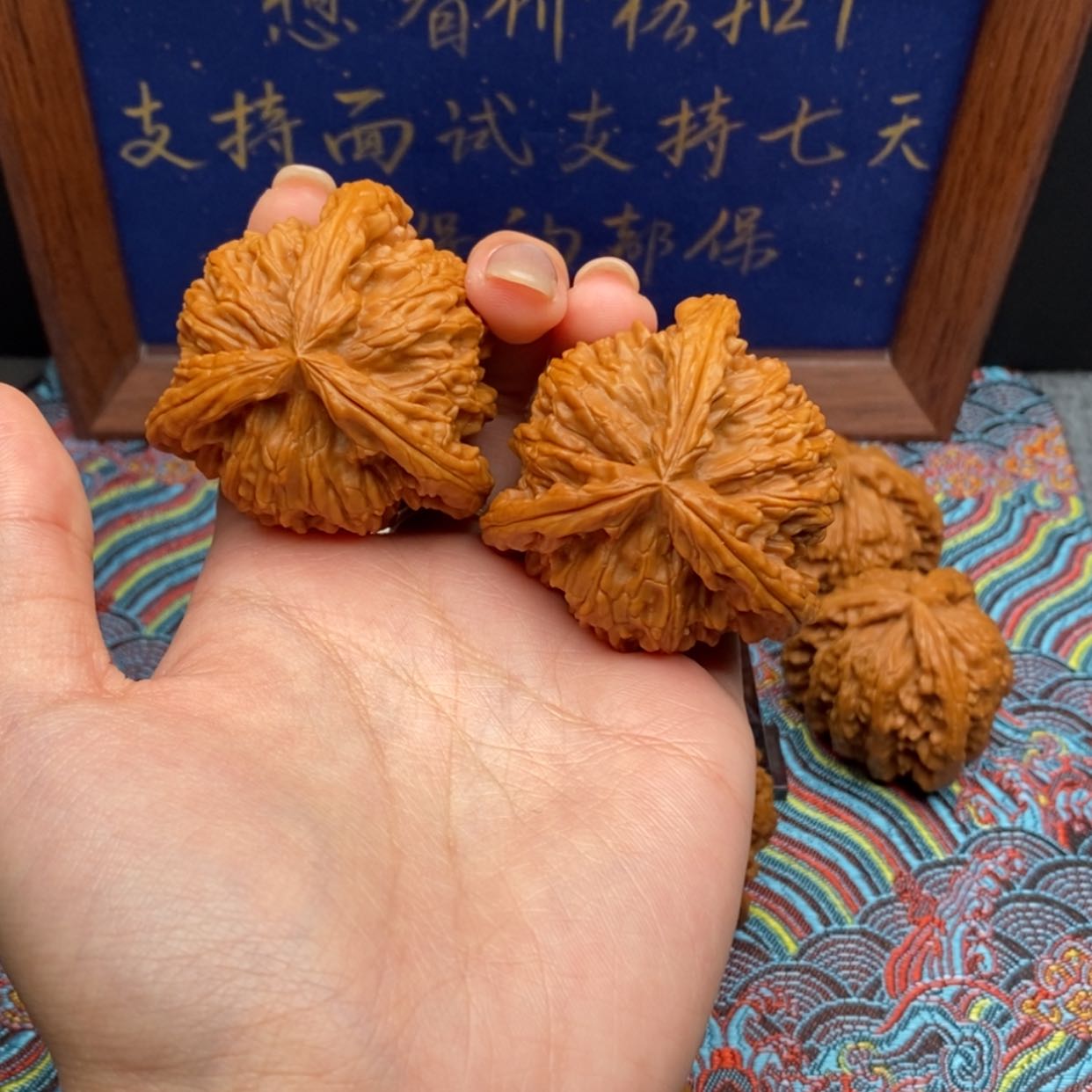 【闪购商品】?****?白狮