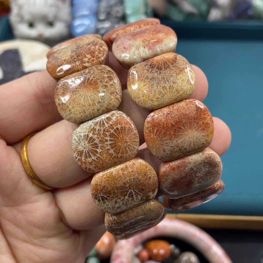 未镶嵌手镯硅化玉