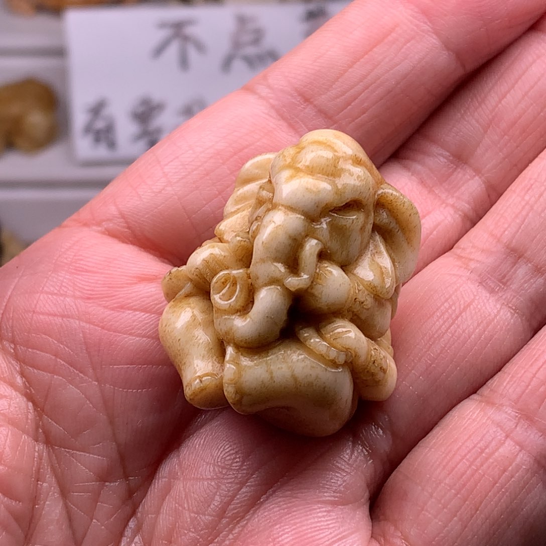 鹿骨其他天天都在盘