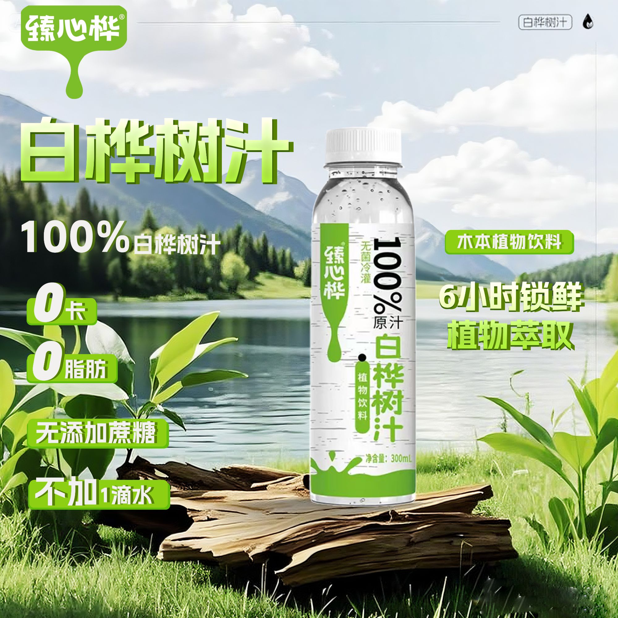 【秋季饮料】臻心桦100%白桦树汁植物饮料不加一滴水6瓶装围炉煮茶