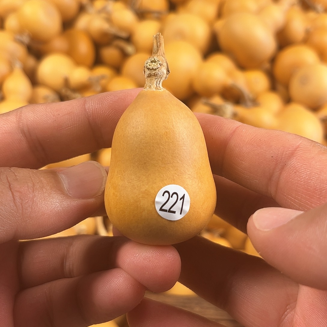 二葫芦葫芦葫芦葫芦221