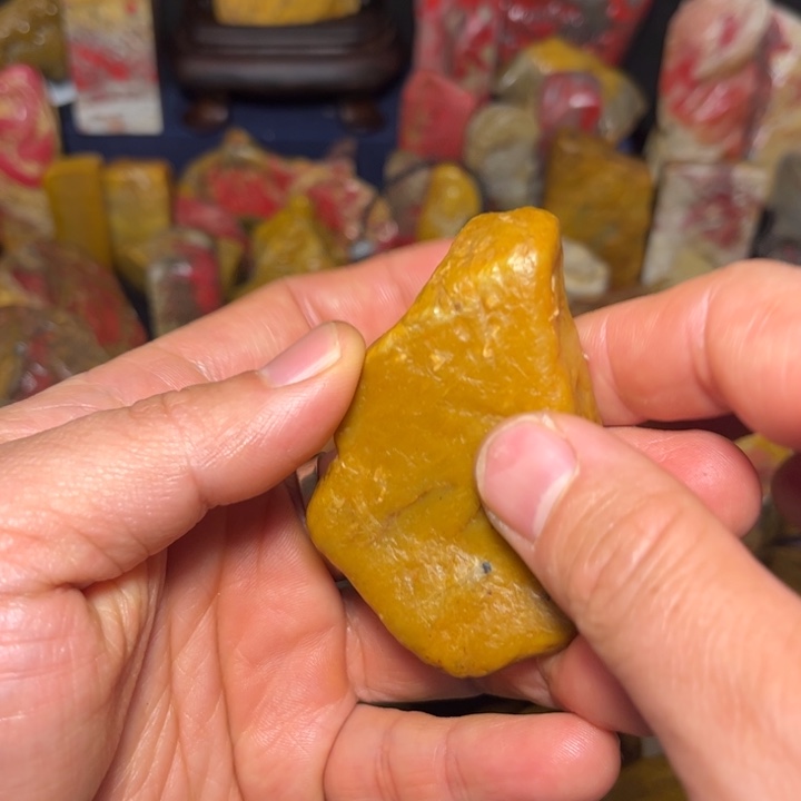 苍***晨昌化石国石昌化石