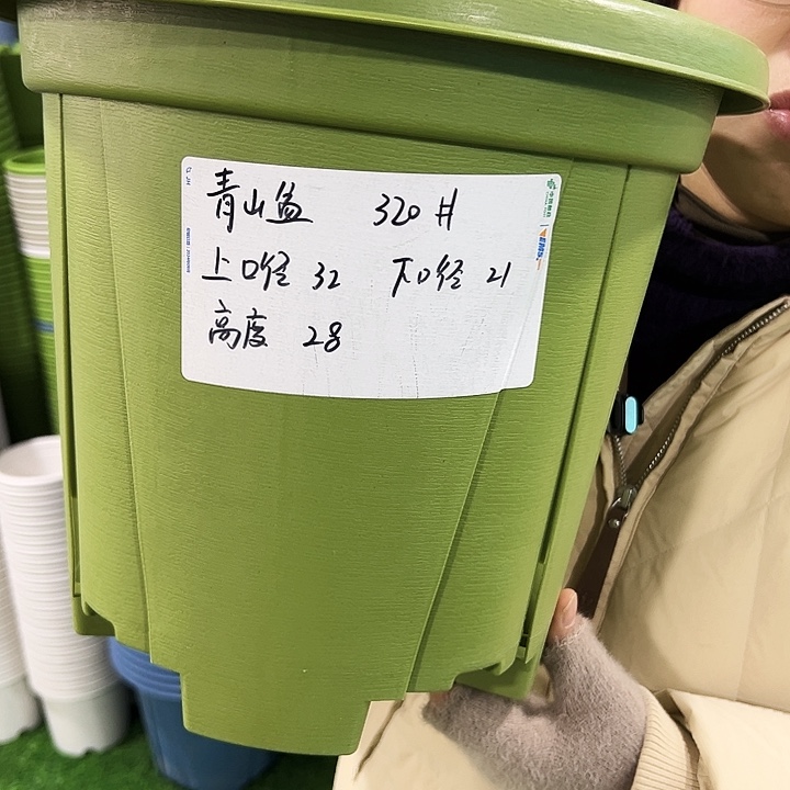 正品青山口32高28果绿色无托5zhi