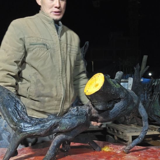 致***宾无花朵山里人家金单子