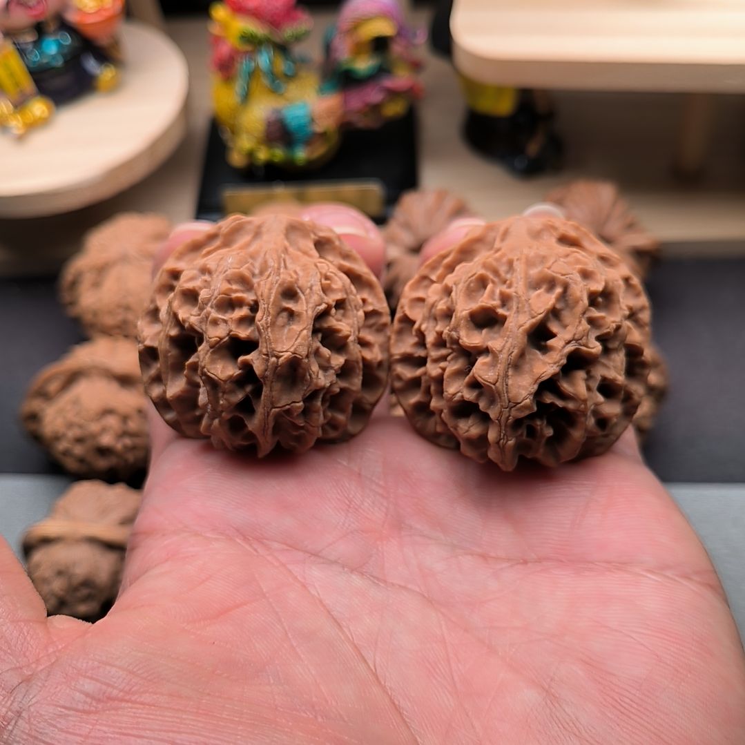 杜***朗核桃苹果园福利。打底等影响二次销售不退不换