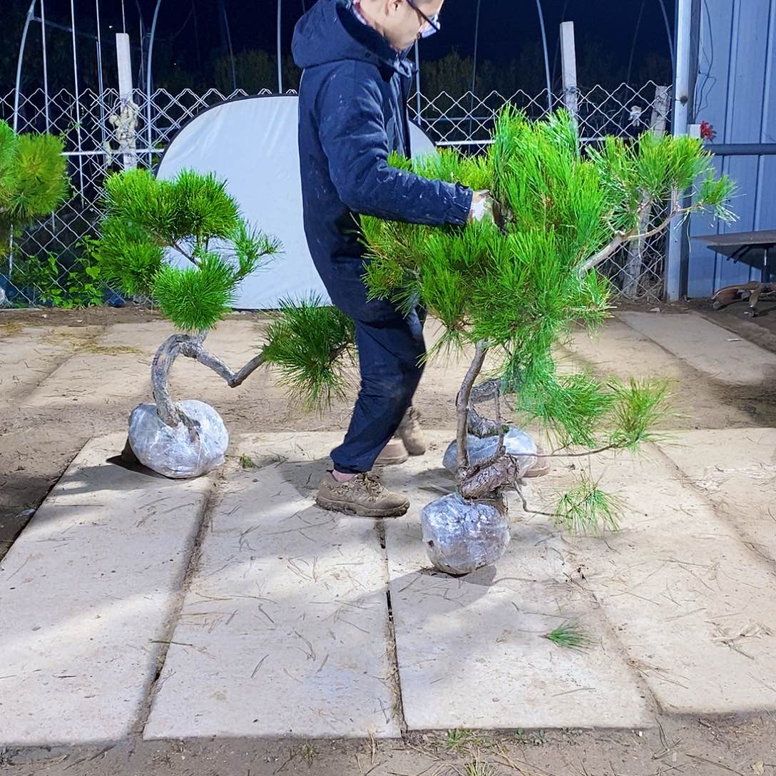 婺***哥完全开放111111111111111