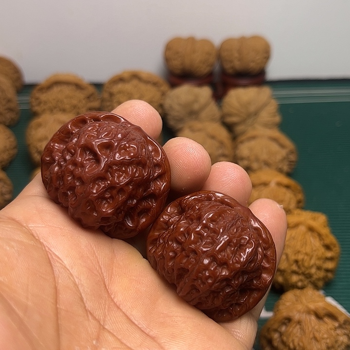 40尺血麒麟红核桃