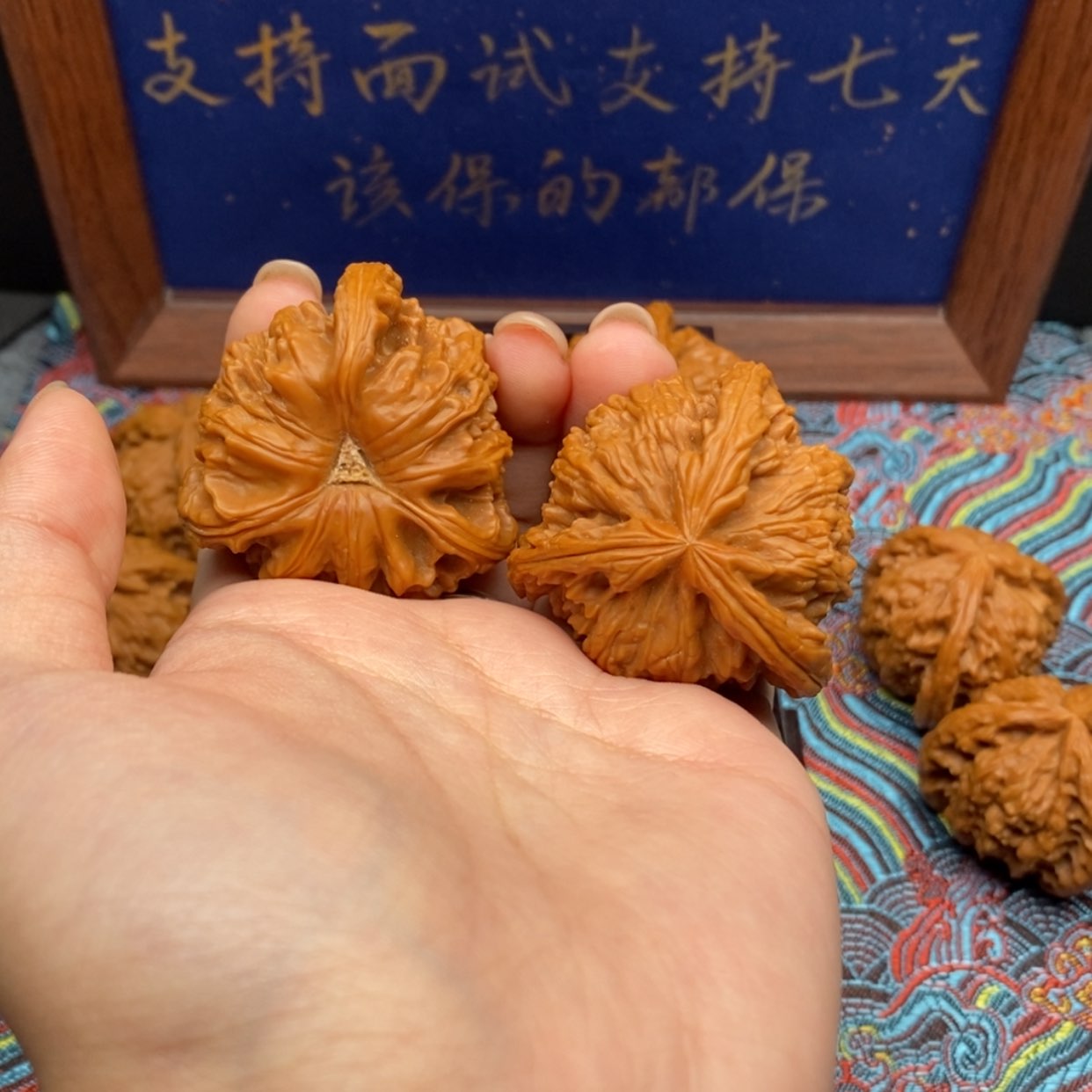 【闪购商品】许*白狮