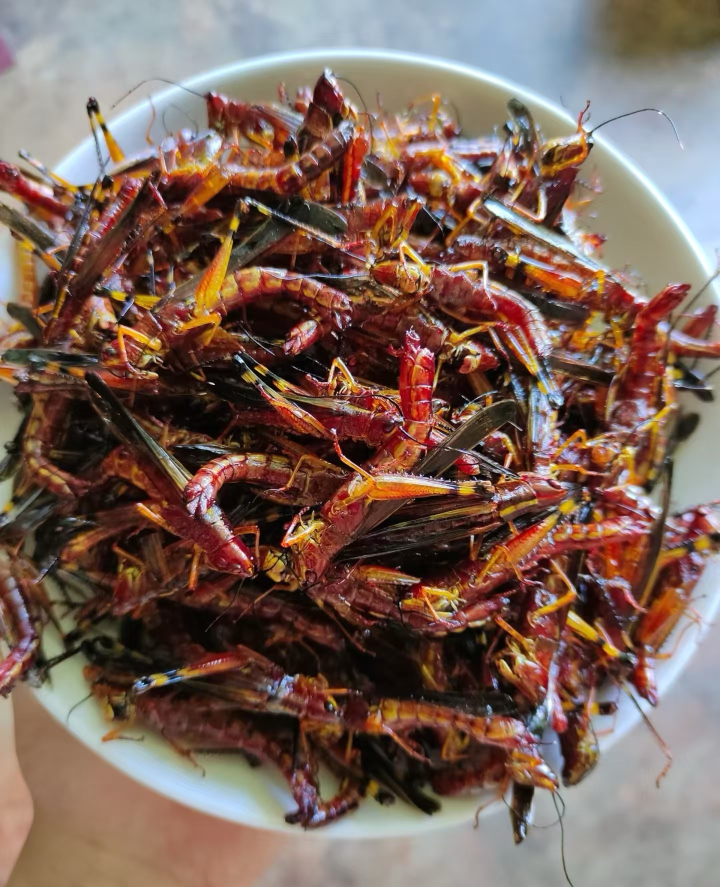 速冻无冰土蚂蚱400g袋装