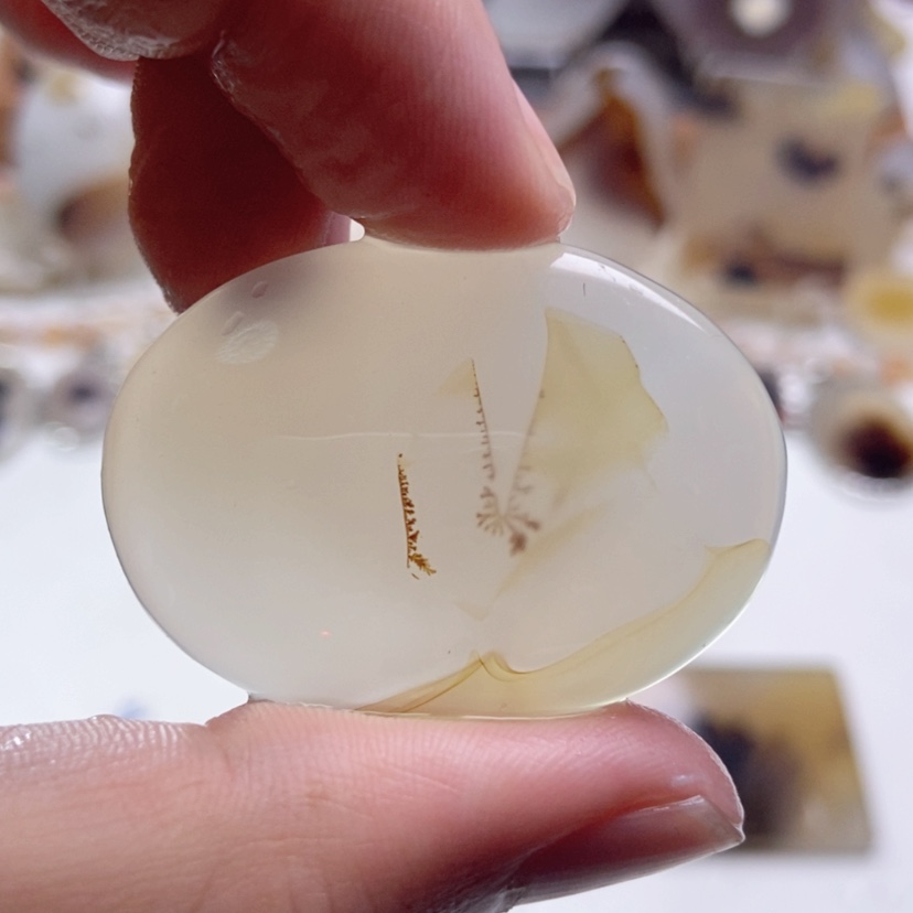 【闪购商品】玛瑙/玉髓颈饰未镶嵌