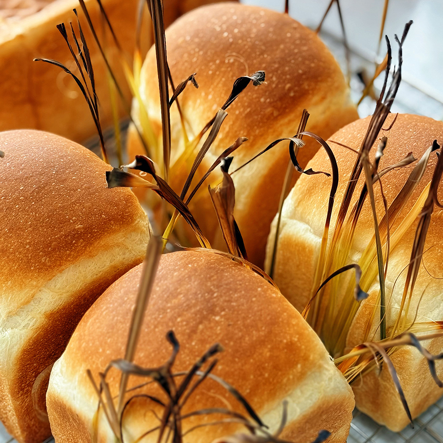 2025年新课/香茅草椰香吐司