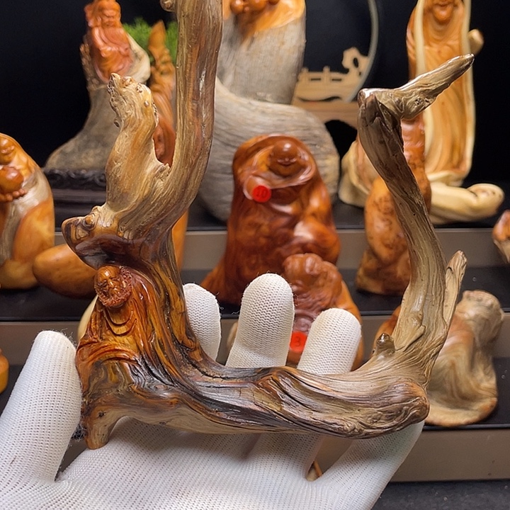 柏木（崖柏）33333333333333