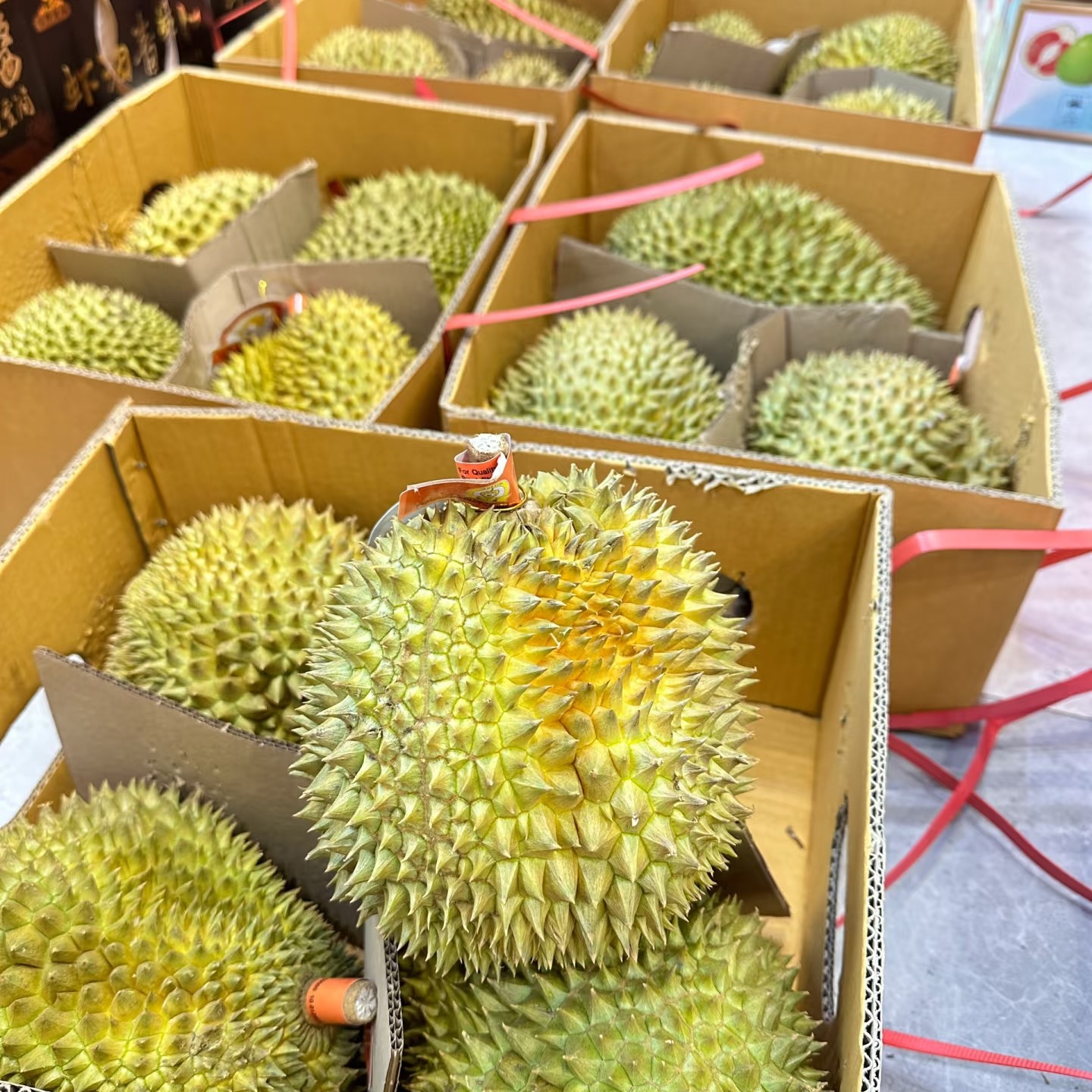 泰国空运树熟金枕鲜榴莲一果一称（2-10斤）（核小）金枕泰国
