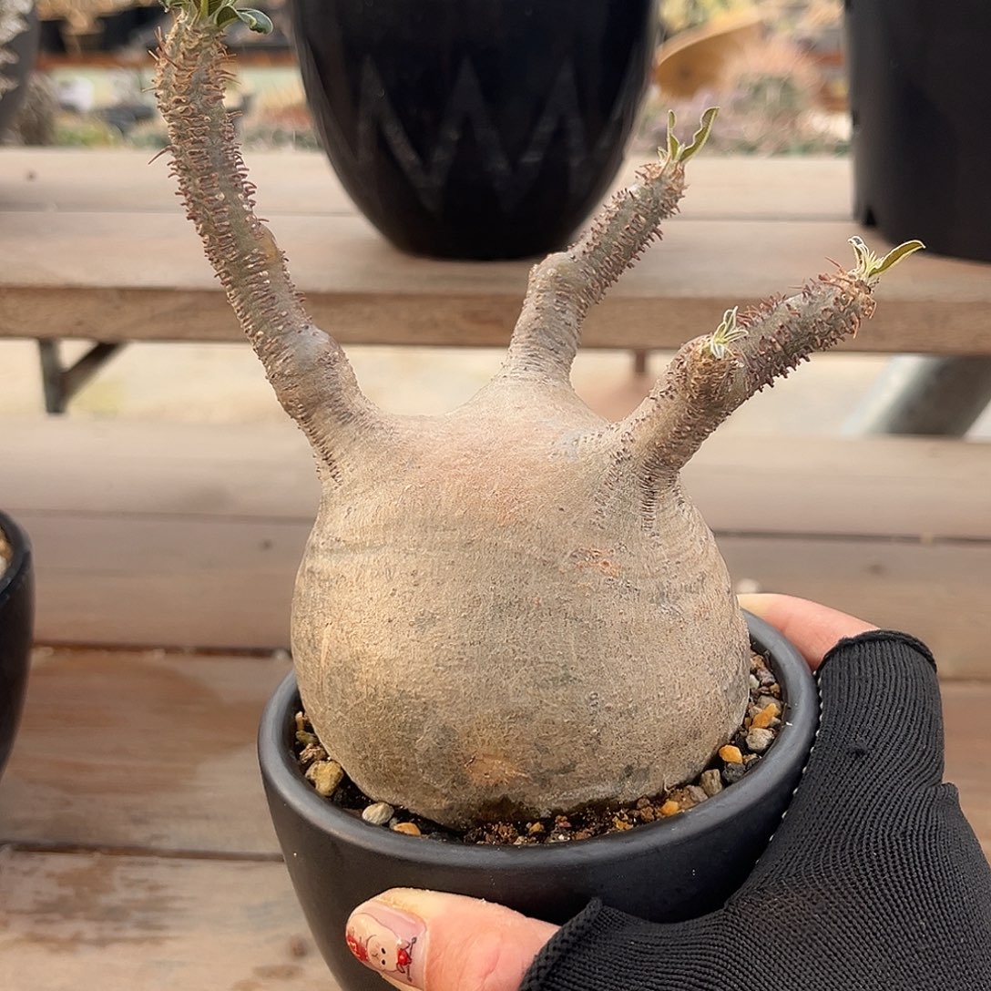 宫Zzzzzzzzzzzzzzzzzzz