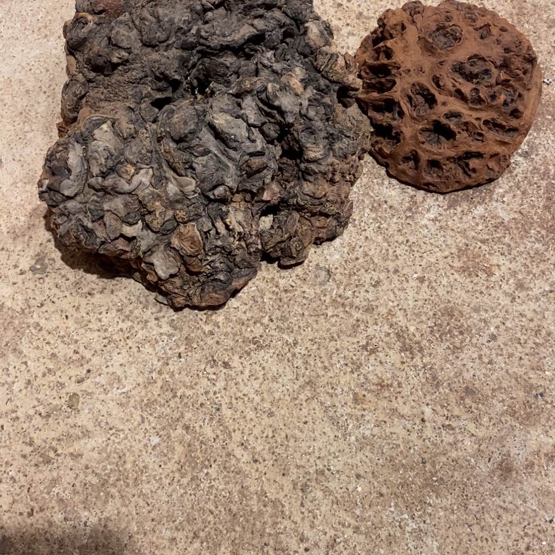 安***淳荔枝木随形香炉加工