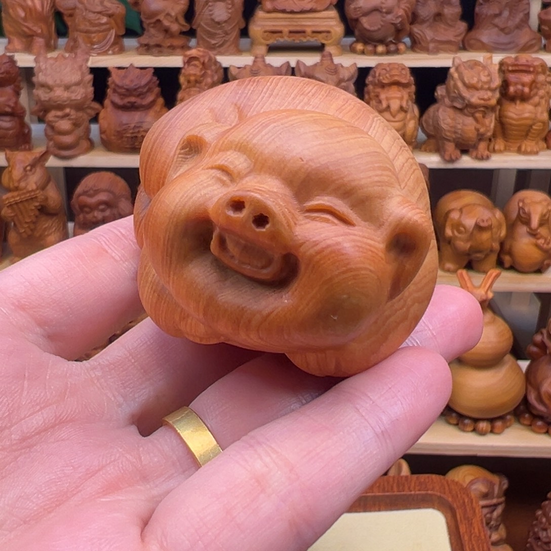 偷***闲崖柏太行崖柏猪猪