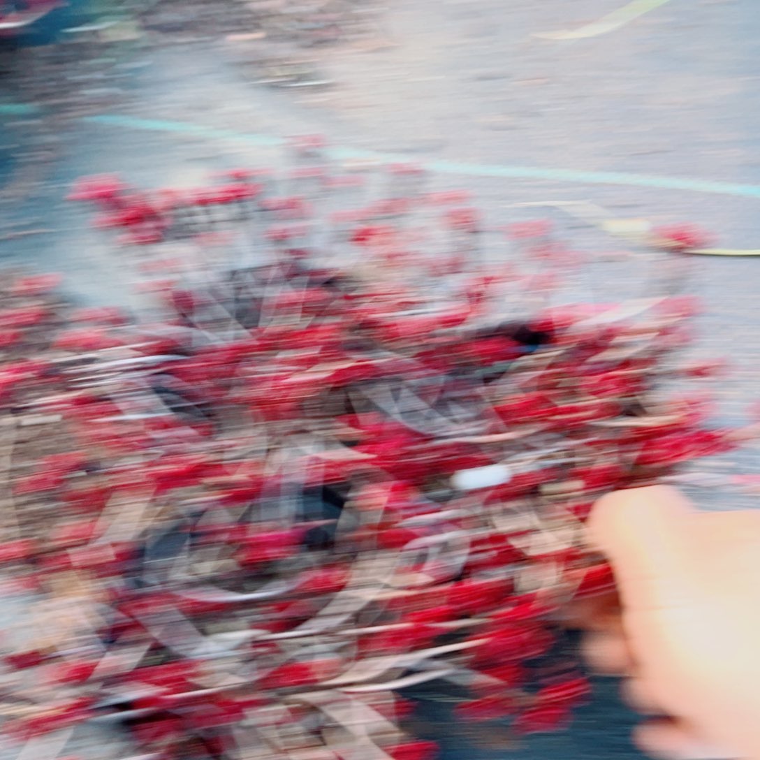 小球玫瑰三颗黑盆