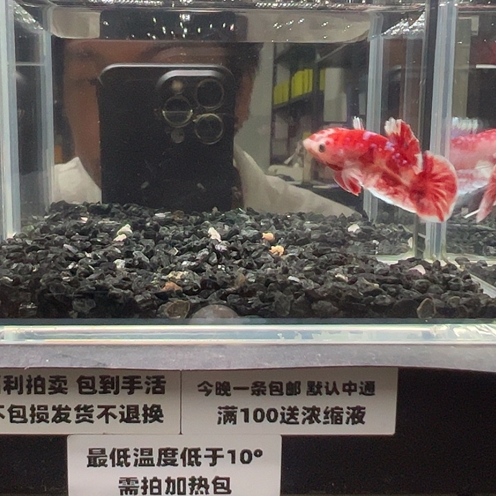 斗鱼跑单拉黑1日88