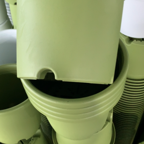 树脂2加果绿无托5个