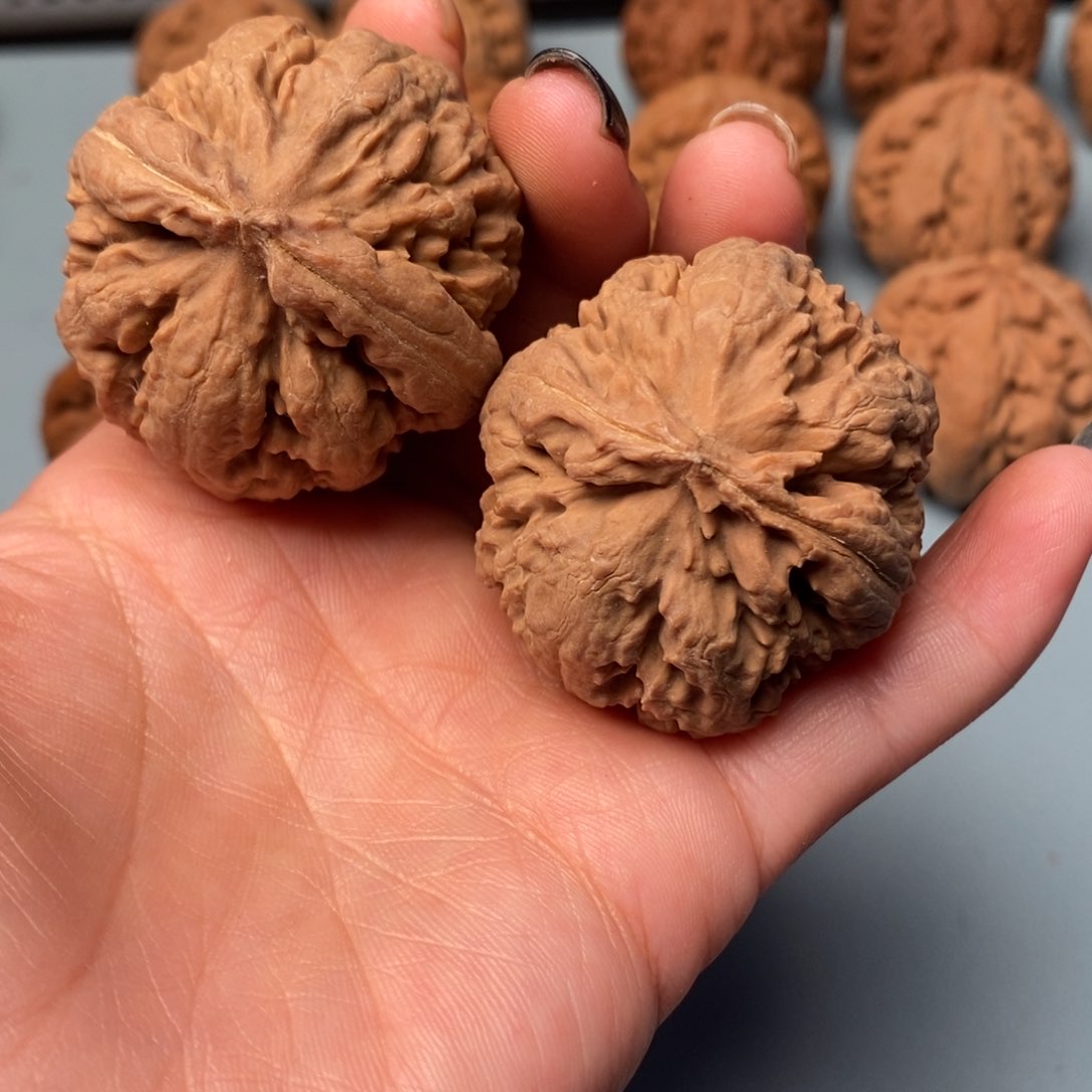 吊坠文玩核桃霸王龙40