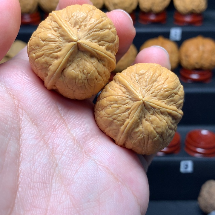 文玩核桃把件金蟒三棱38