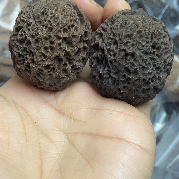 把件文玩核桃云南铁核桃基地50