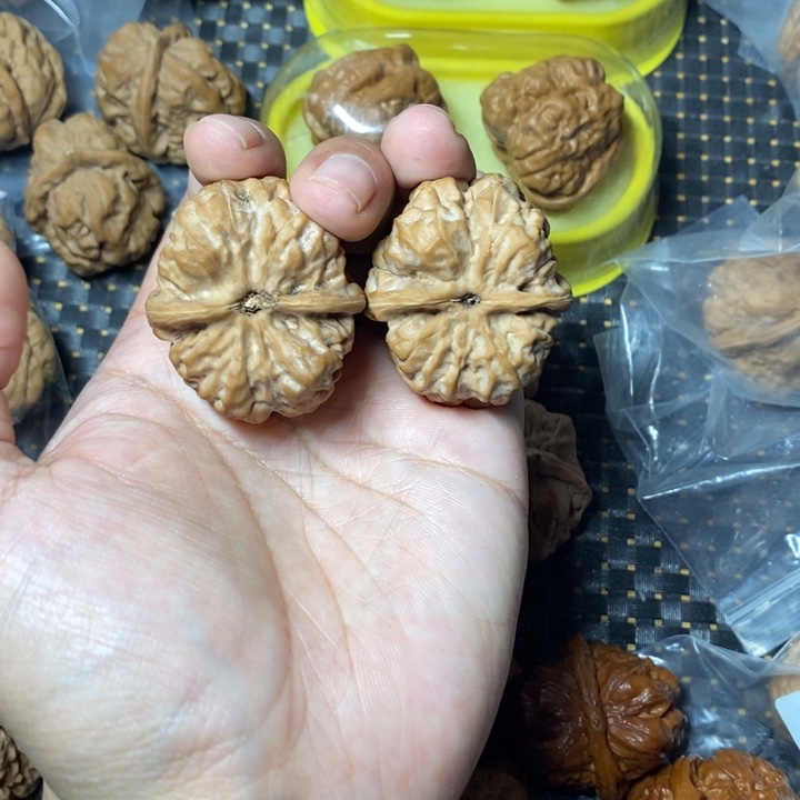 一***水把件文玩核桃蛤蟆38