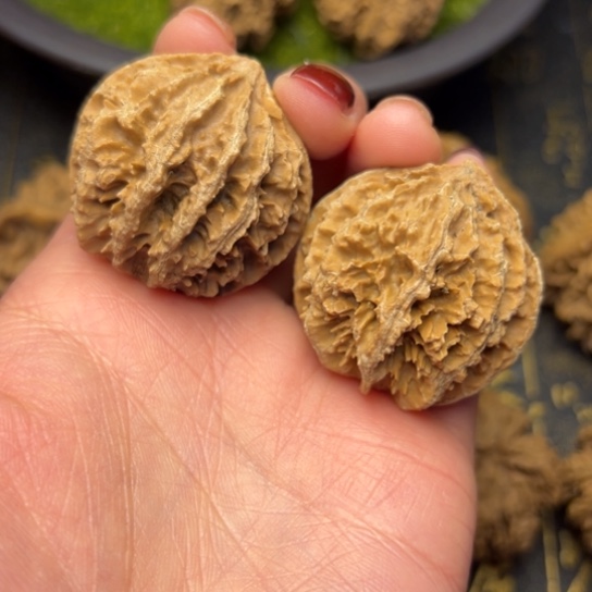 文玩核桃把件秦岭核桃36