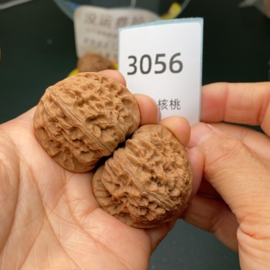 文玩核桃把件38.5白狮子3056