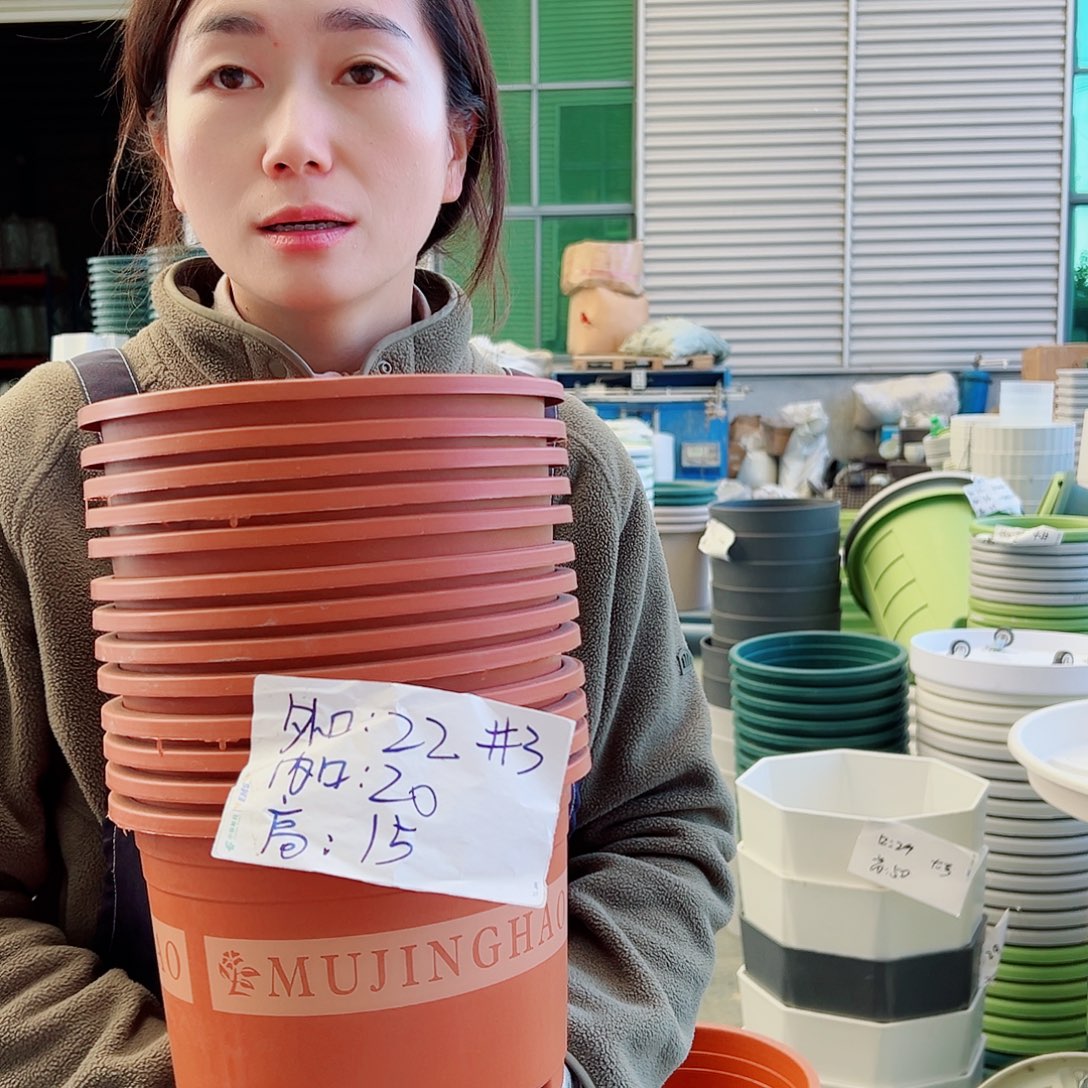 瑕疵矮胖3#红色10个无托