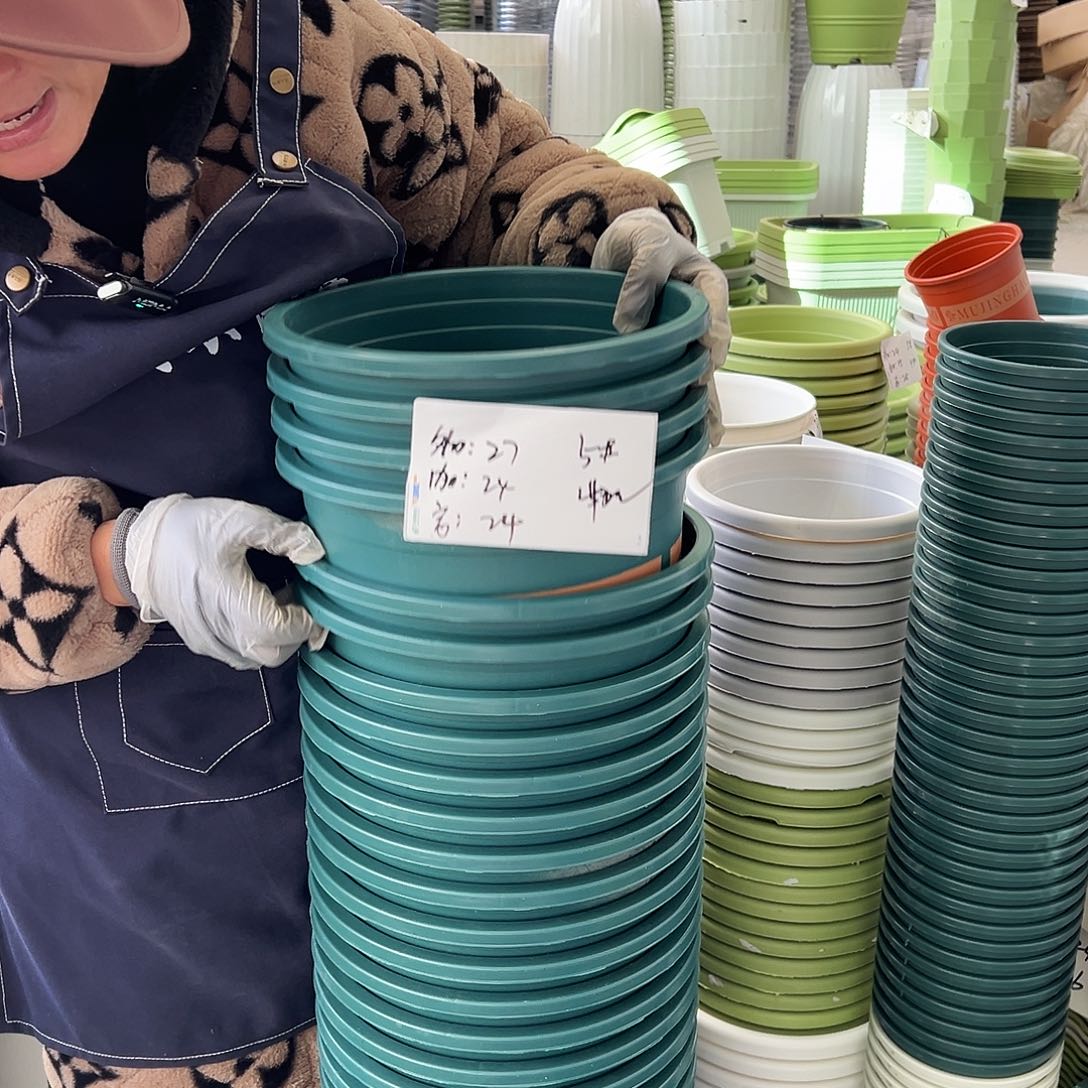 瑕疵5#加仑墨绿色10个无托
