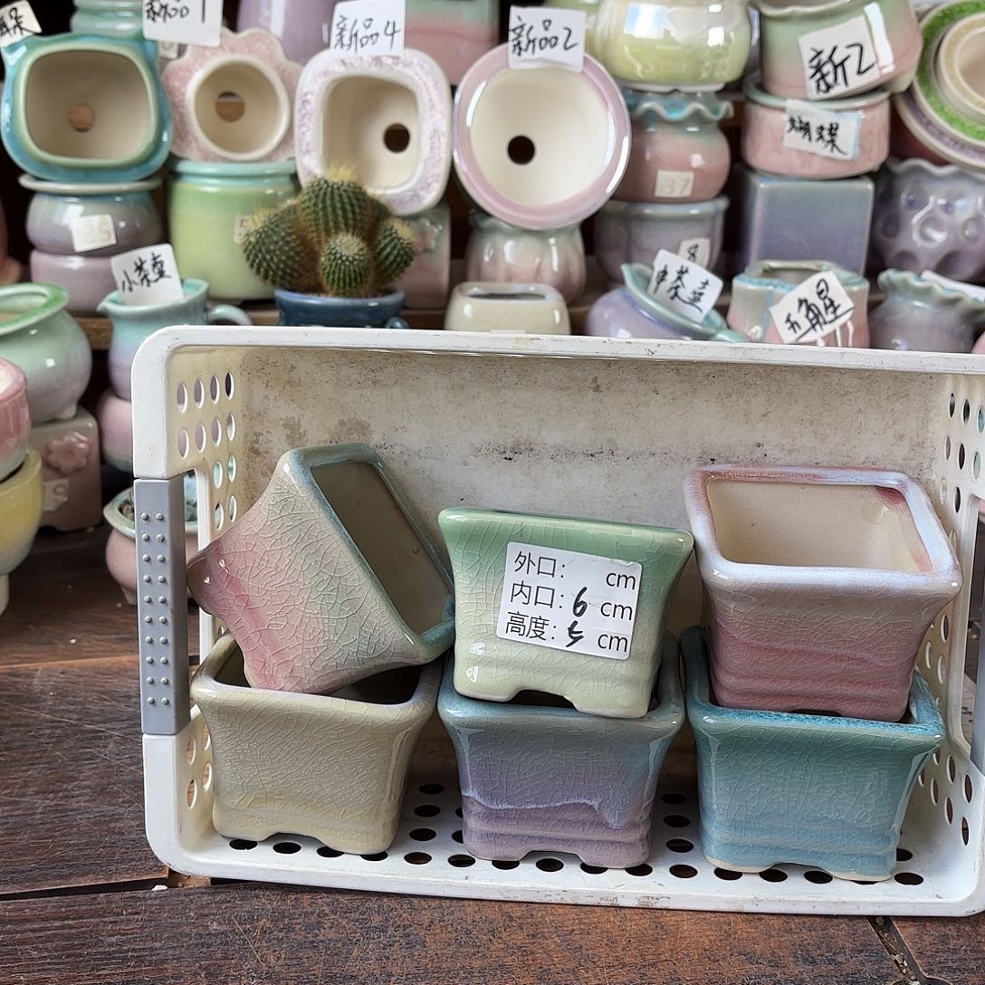 量货/6口高5深浅搭配发6