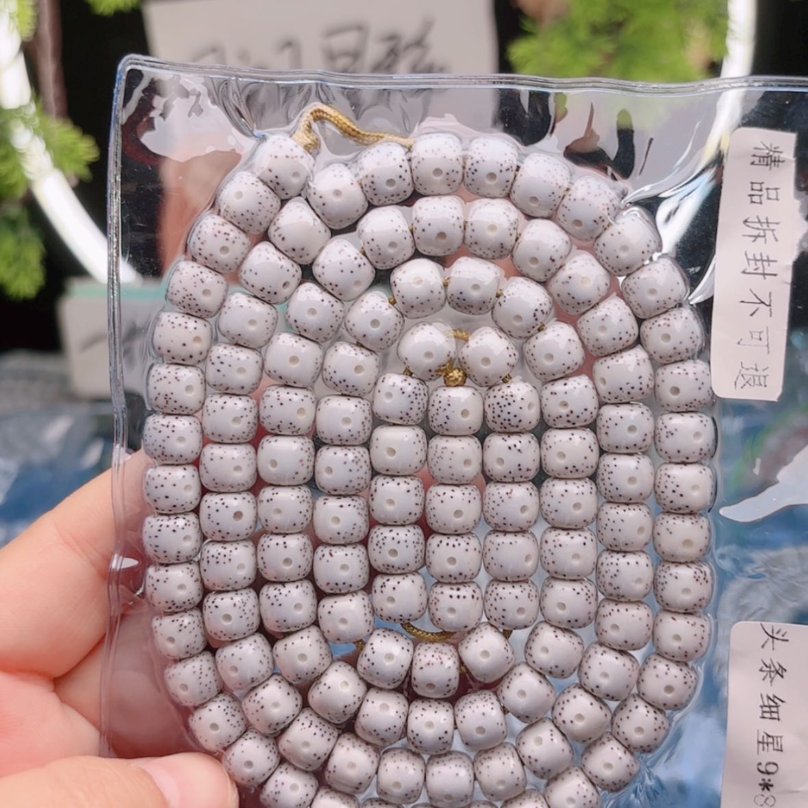 【闪购商品】菩提根/象牙果吊坠寅*。星月