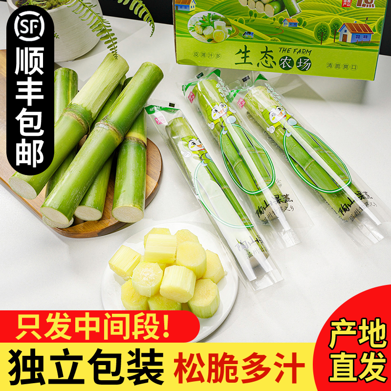 正宗温州陶山绿皮甘蔗当季新鲜水果脆甜青皮多汁礼盒装顺丰包邮