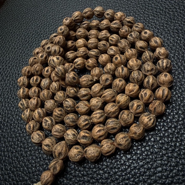 热振一哥《尸坨林.绝》定制级百香籽