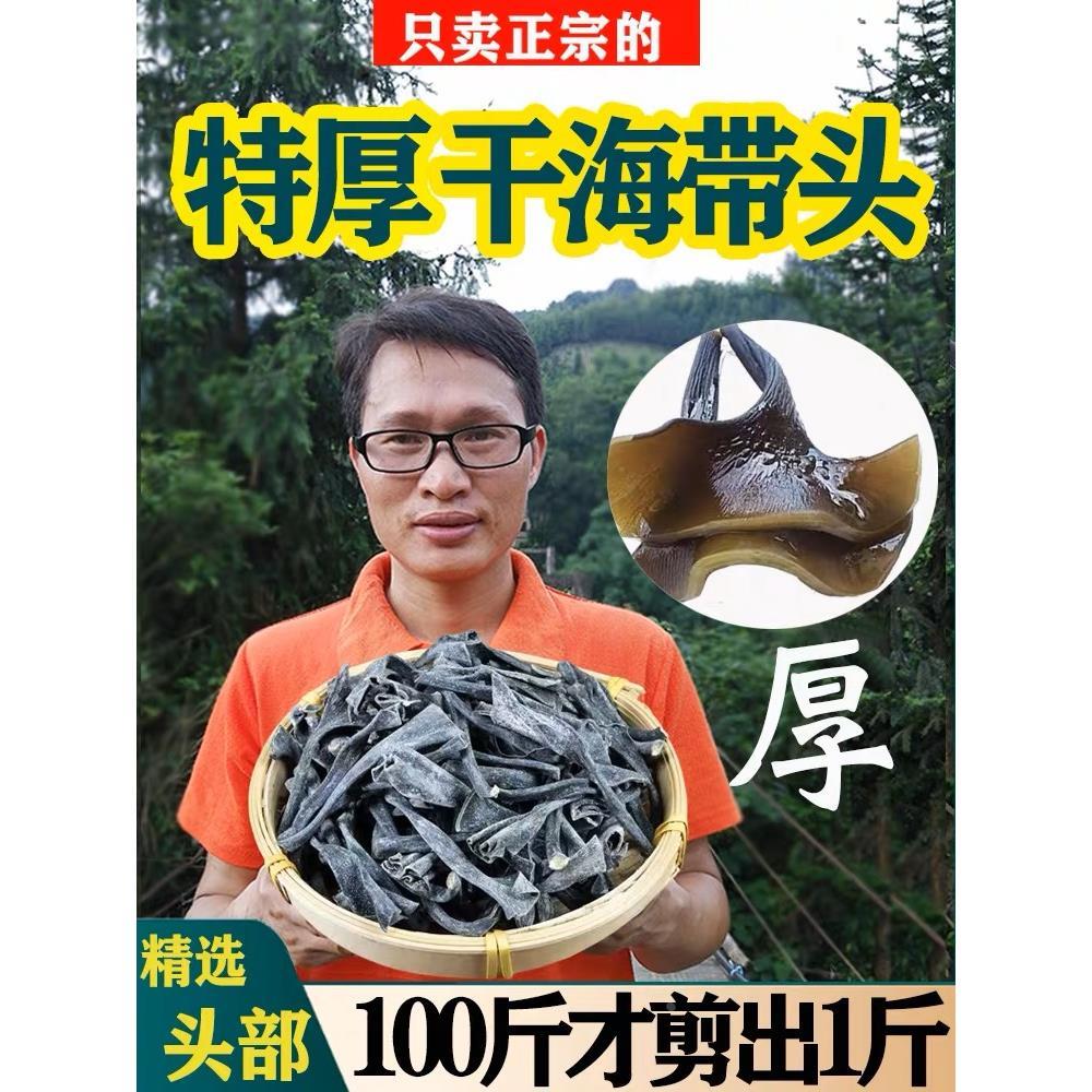 福建霞浦海带头干特厚 干货海带根免洗自特产海带苗嫩 新鲜
