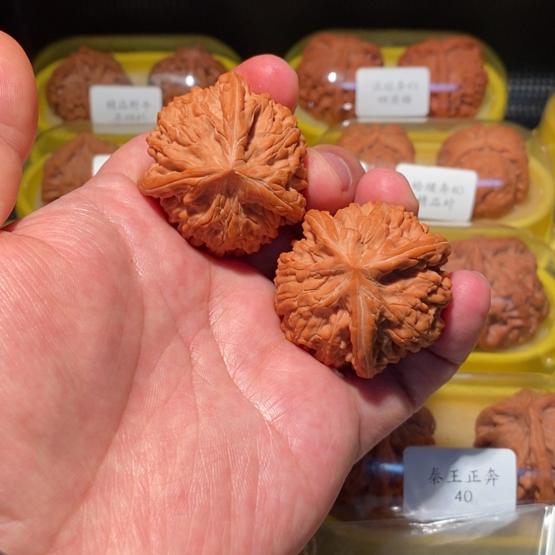 42全品御龙粗筋人奔精品对
