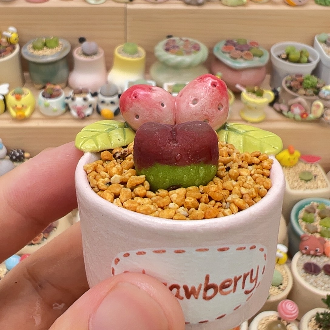 多肉植物8号水蜜桃