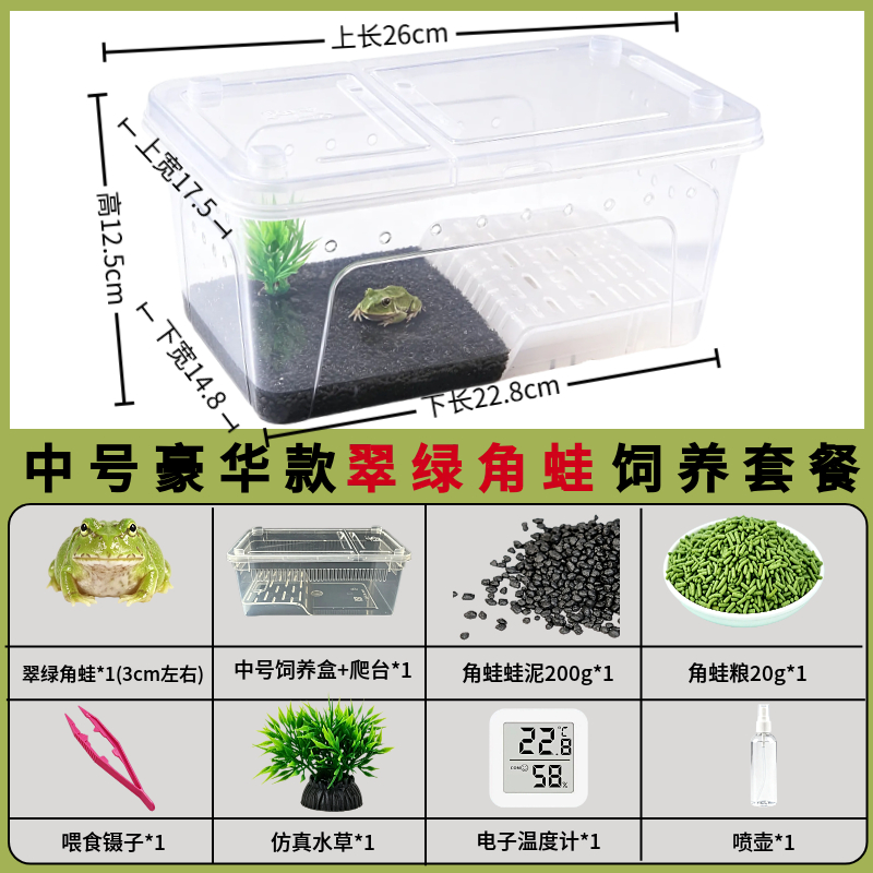 角蛙活体宠物黄金角蛙绿蛙角蛙泥角蛙粮饲养盒蛙饲料宠物青蛙活物
