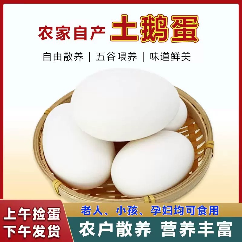 农家散养新鲜土鹅蛋现捡现发破损包赔