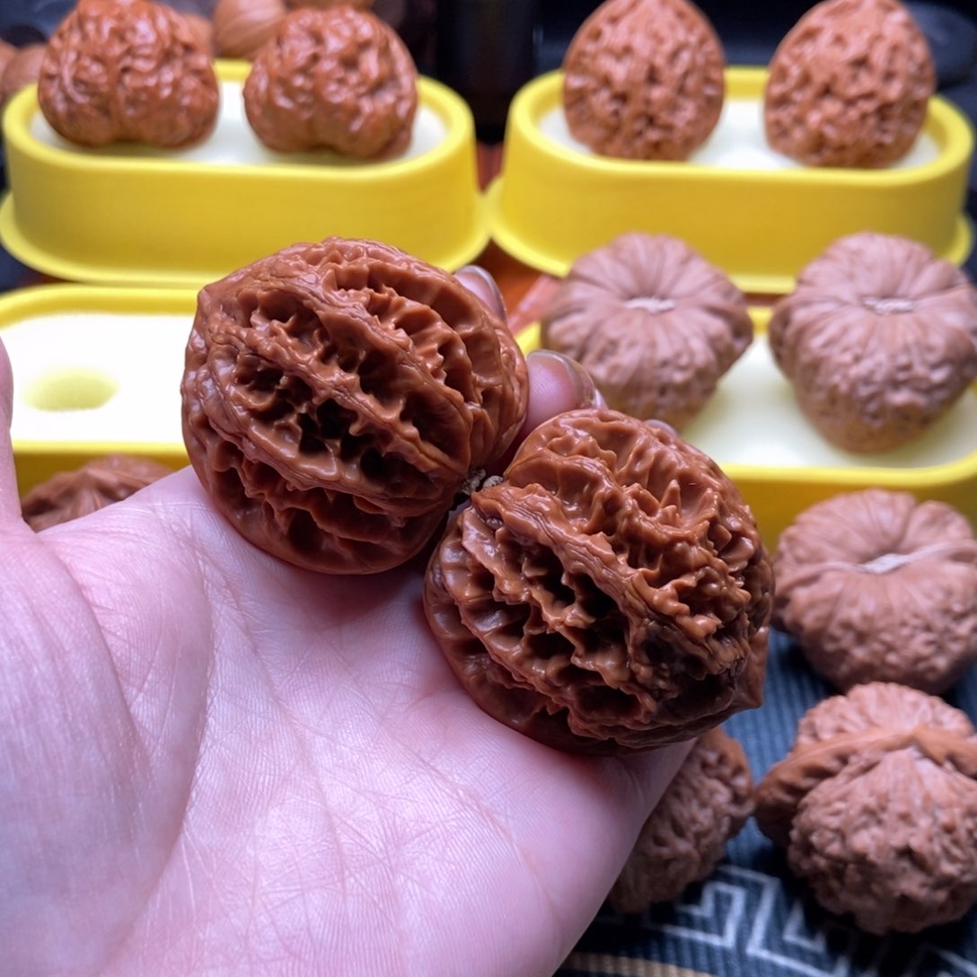 文玩核桃把件全品九龙筋