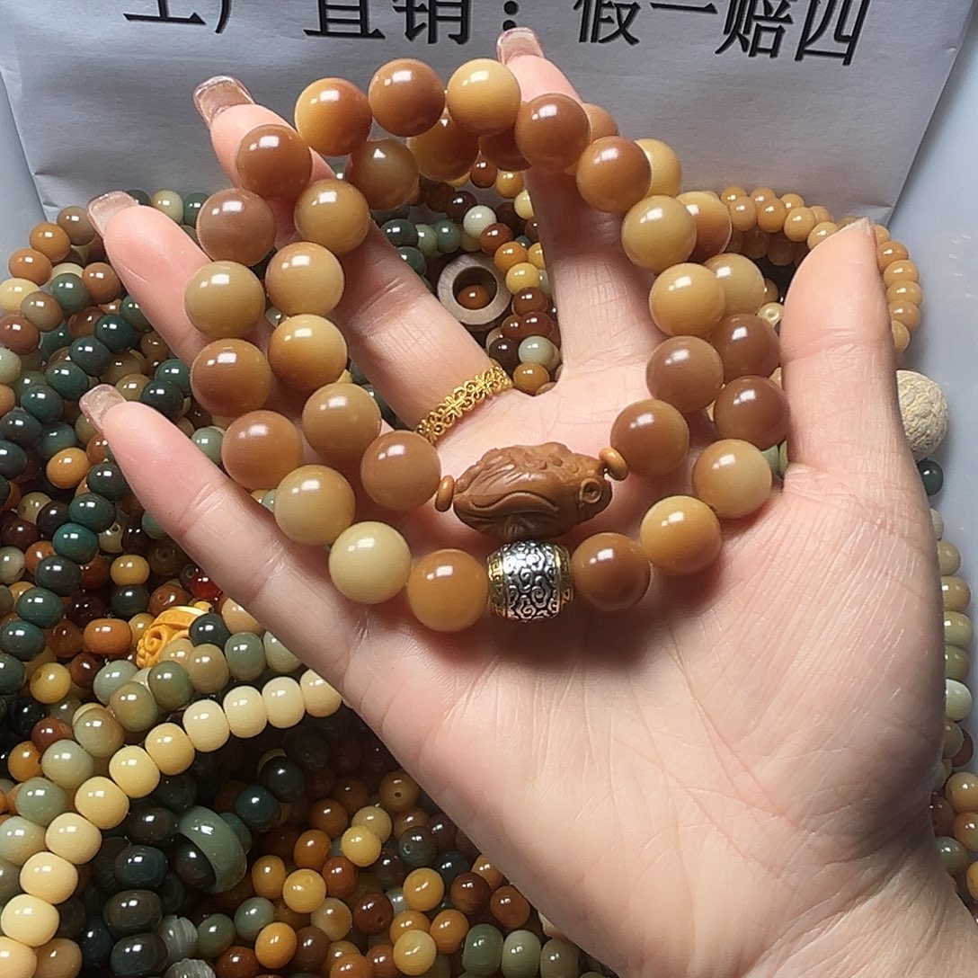 吊坠菩提根/象牙果