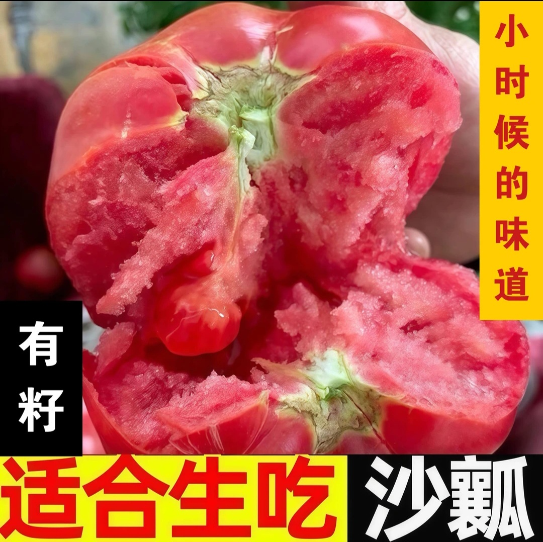 DR5斤云南正宗沙瓤番茄生吃西红柿自然熟新鲜现摘水果番茄箱批发